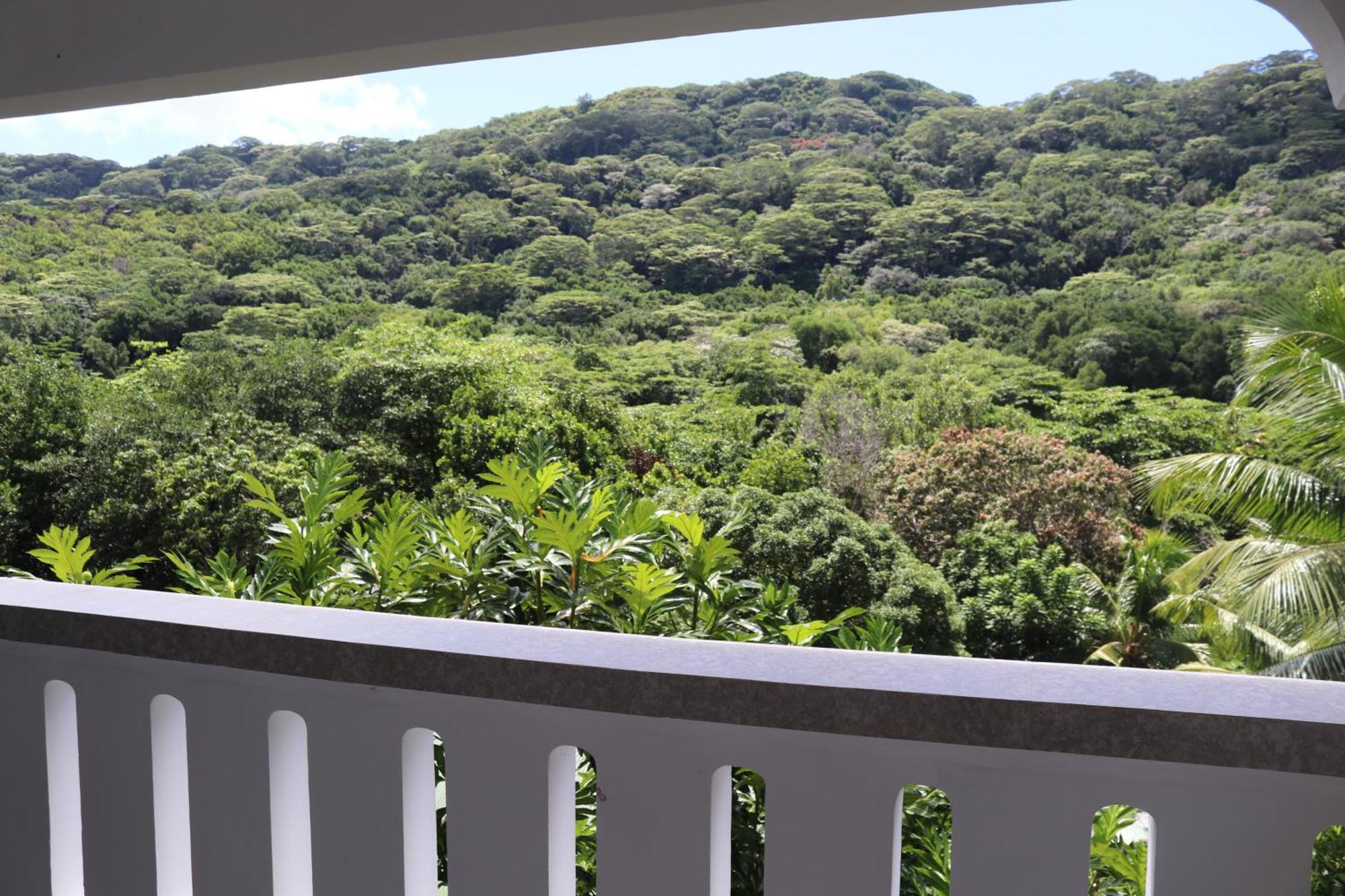Mountain View Hotel 4*